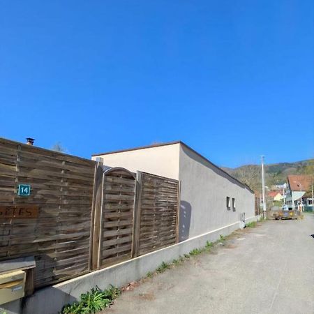 Ikigai Aparthotel Muhlbach-sur-Munster Bagian luar foto